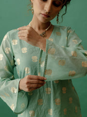 Mint Green V Neck Banarasi Suit