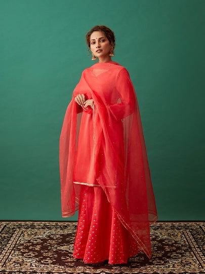 Carrot Red Banarasi Suit - Cult91