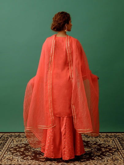 Carrot Red Banarasi Suit - Cult91