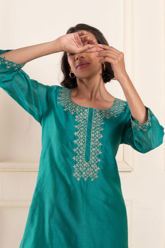 women chanderi kasuti regular fit kurti